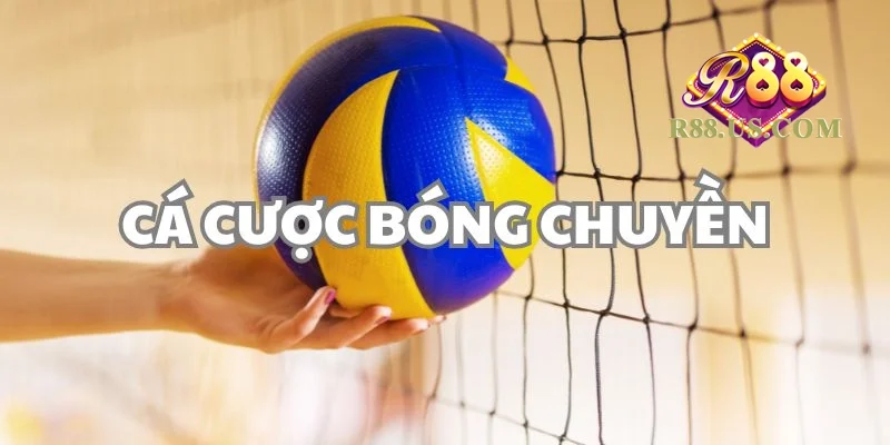 Kèo bóng chuyền là gì?